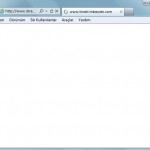internet explorer 9 sorunu